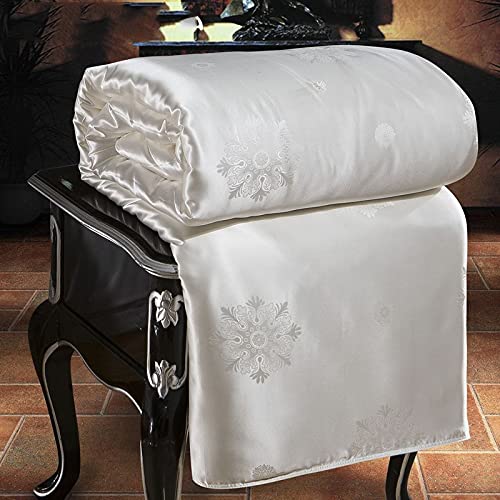 Natural Silk All-Season Comforter Duvet Insert Quilt