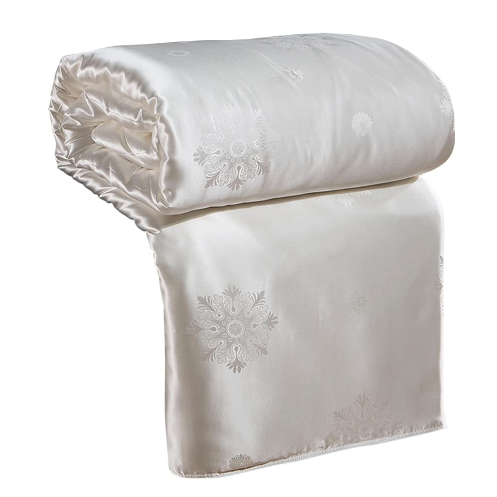Natural Silk All-Season Comforter Duvet Insert Quilt