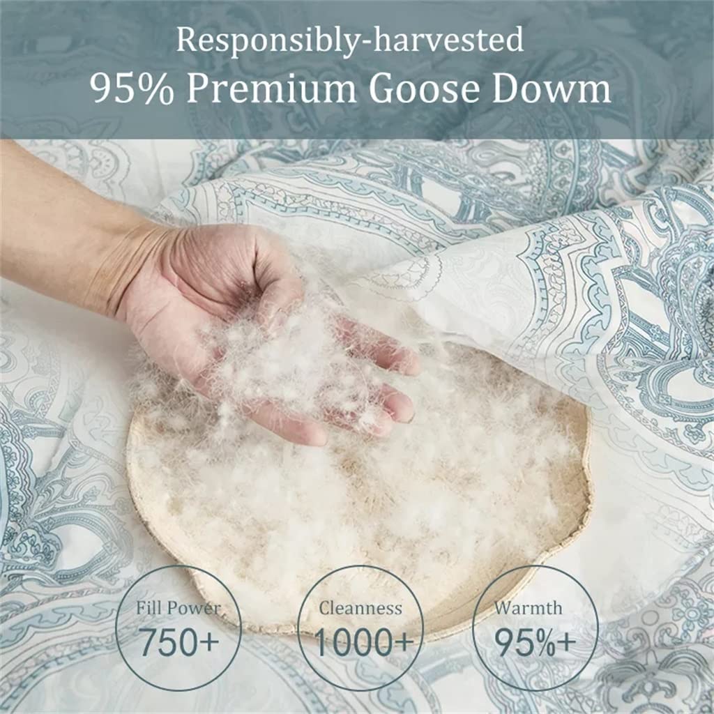 3D Floral Goose Down All-Season Duvet Insert Comforter